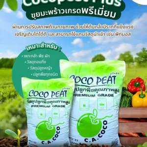 coco peat premium Web V